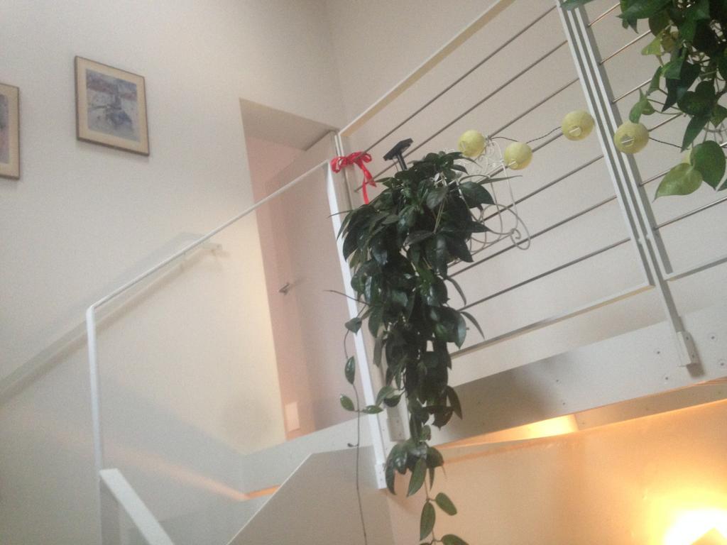 La Casina Apartman Parma Kültér fotó